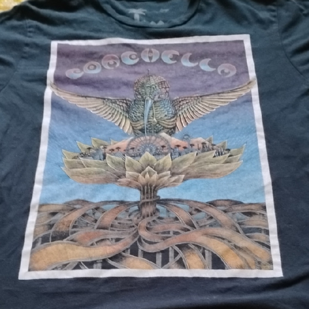 Men's Grey Vintage Large Coachella 2013 Concert Festival Authentic Music Shirt